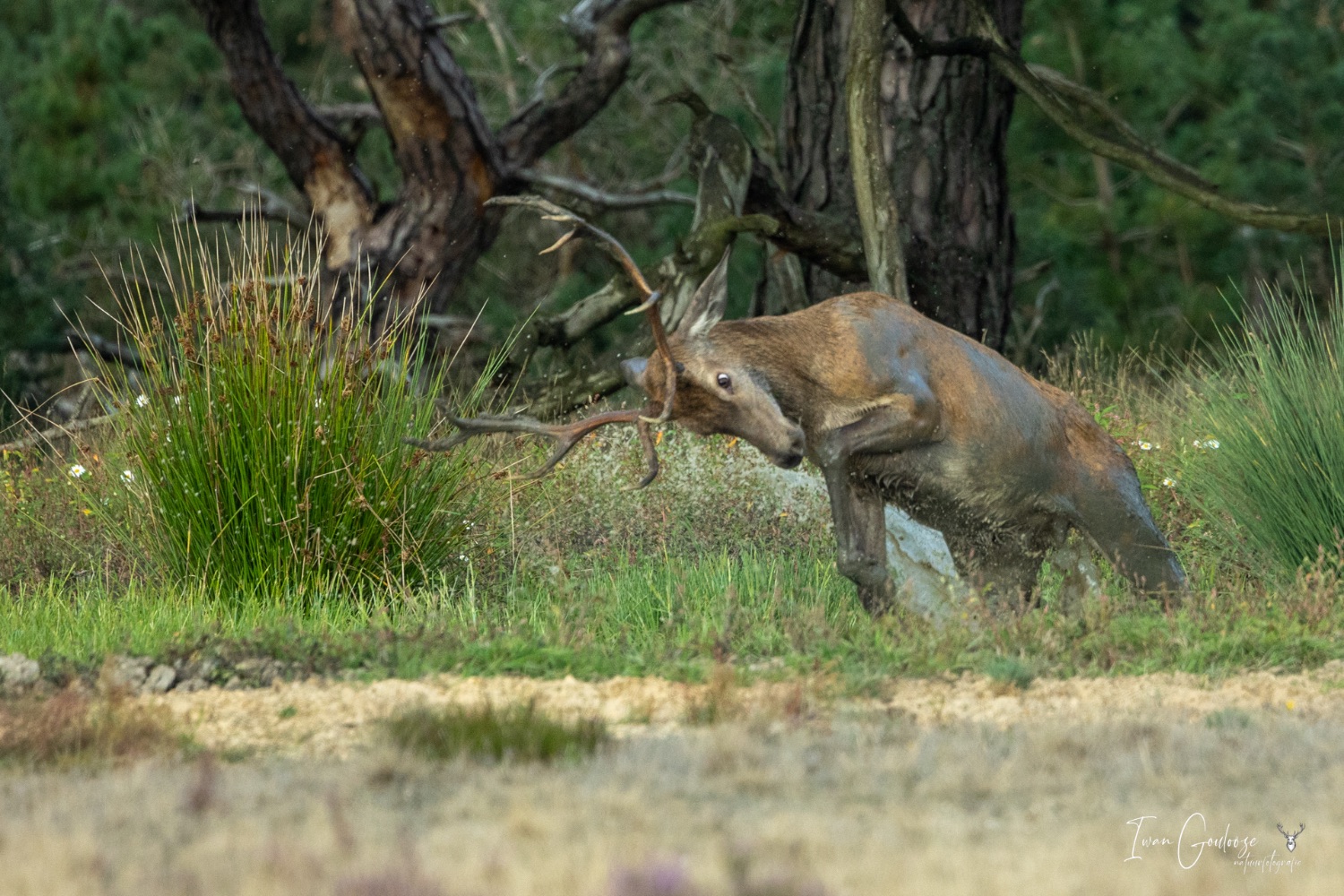 02 september 2023 172023  R2A4704